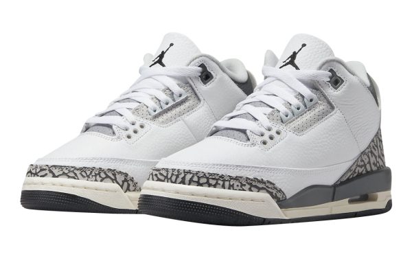 Air Jordan 3 GS Hide N’ Sneak